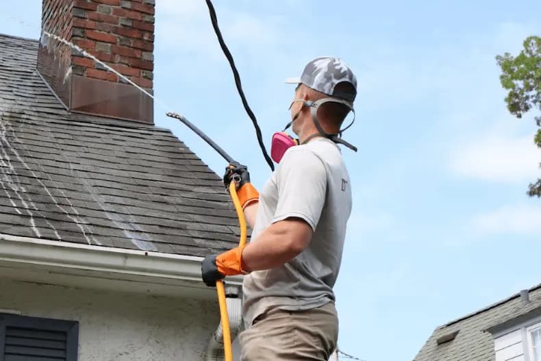 Lorain Power Washing professional performing gentle roof washing service in Lorain